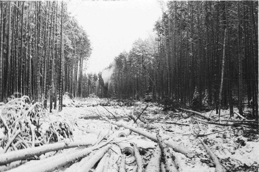 Негатив. Фотоплёнка Зимние пейзажи в лесосеке. Валочная машина. 1983г.