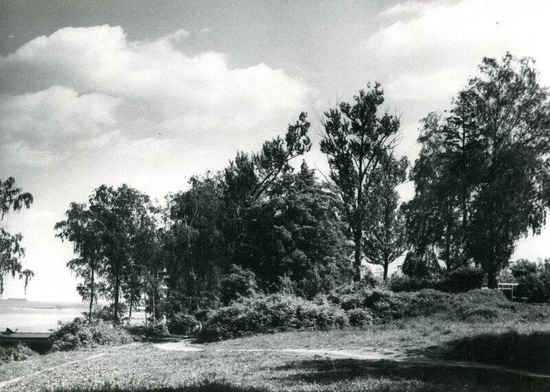 Фотография черно-белая. Леса по реке Суде