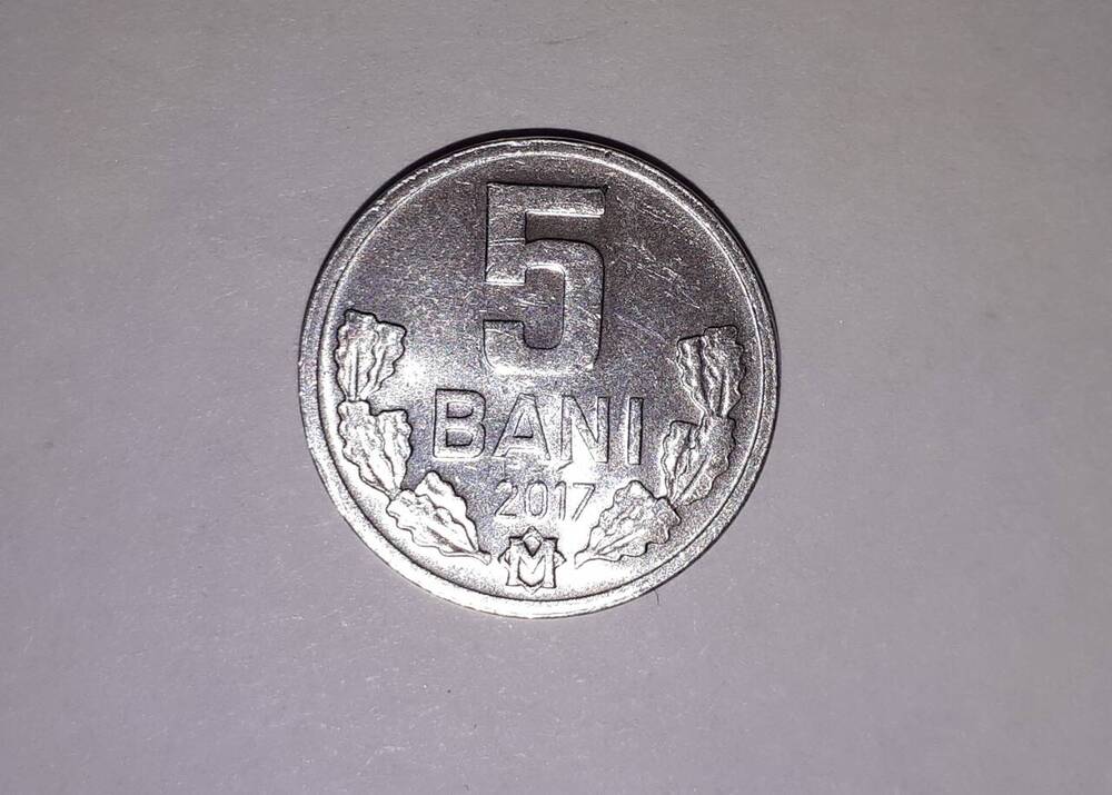 Монета. 5 бани (BANI) 2017 год, Молдавская Республика