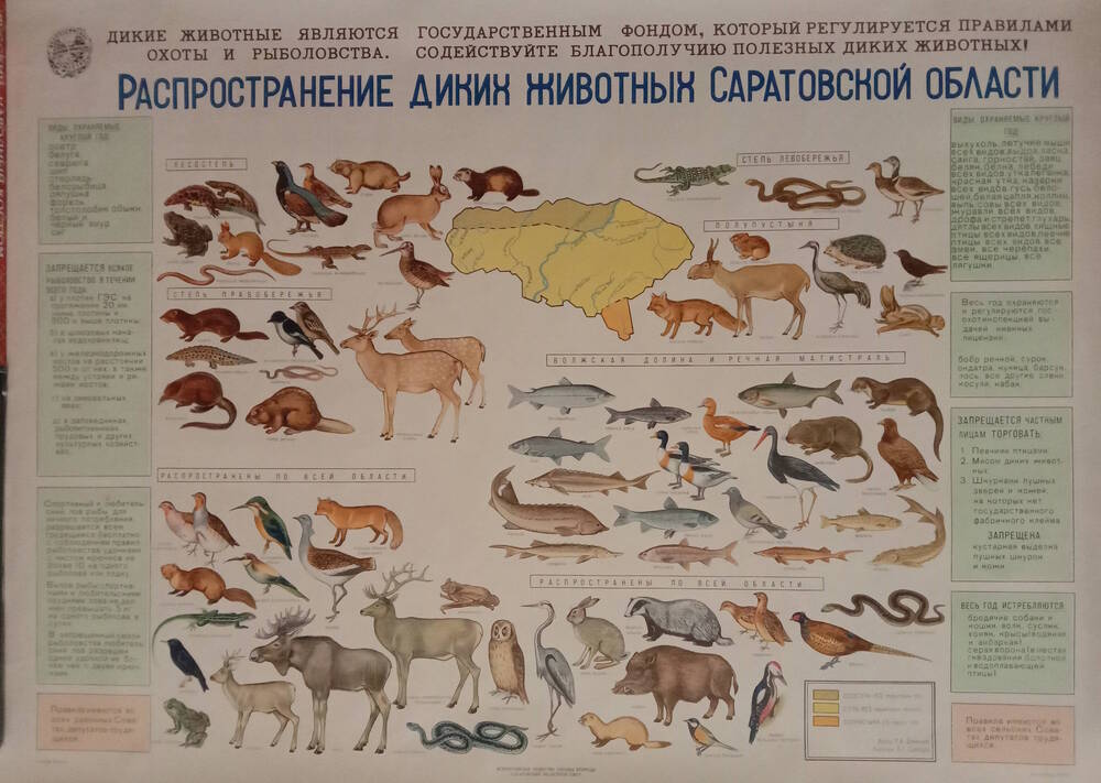 Плакат
«Распространение диких животных
Саратовской области»