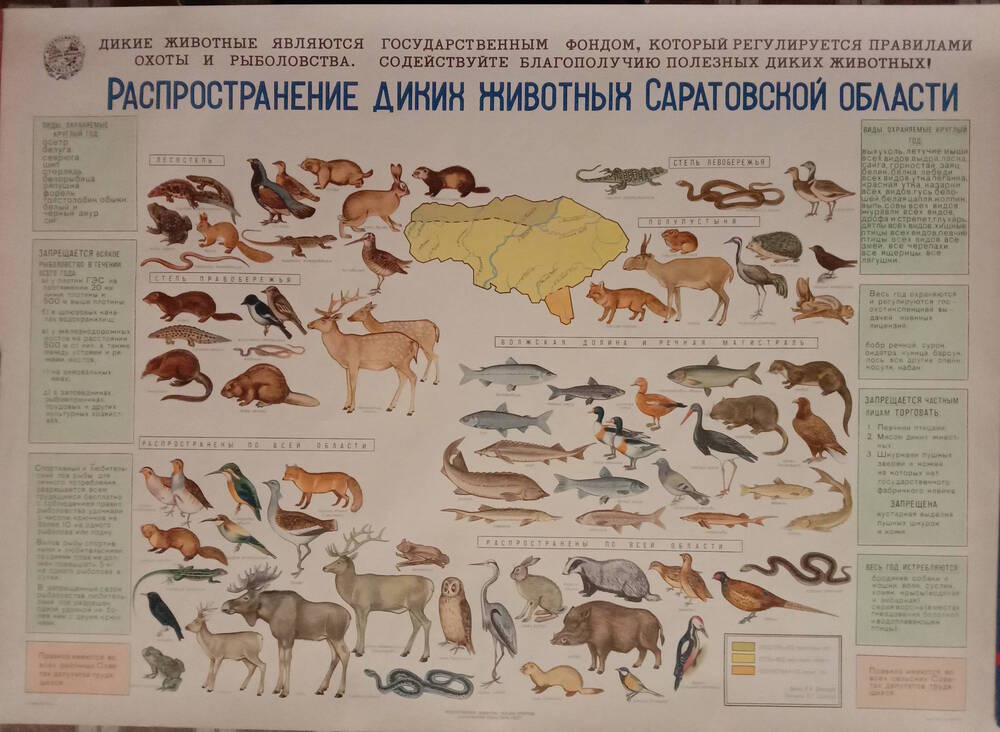 Плакат
«Распространение диких животных
Саратовской области»