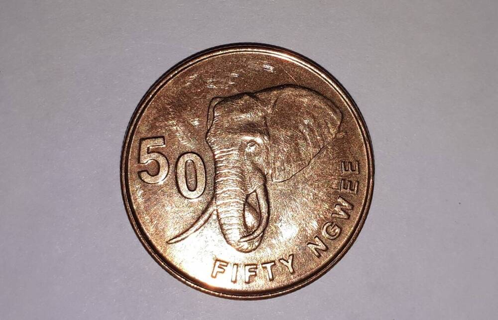 Монета. 50 нгве (FIFTY NGWEE), 2012 г., Замбия

