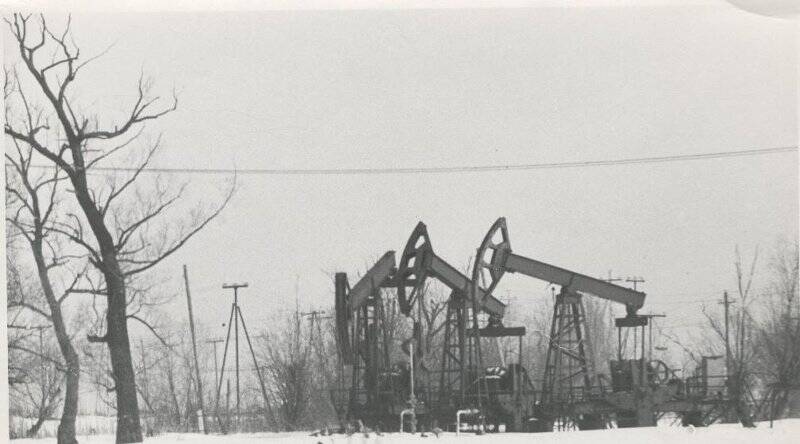 Фотография ч/б. Нефтяные качалки. Фондообразователь: Общественный музей Нефтеюганска