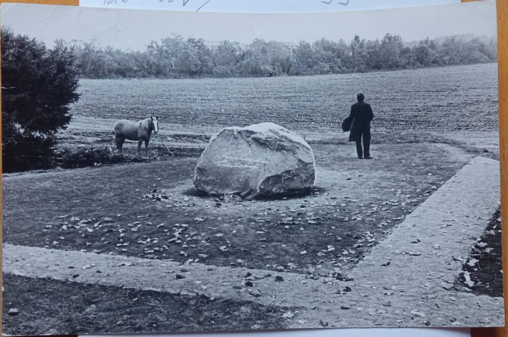Фотография   «Памятный камень на Буйническом поле под г. Могилев»