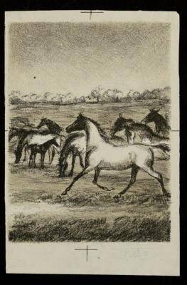 Табун лошадей. Иллюстрация к рассказу Л.Н. Толстого «Холстомер»
