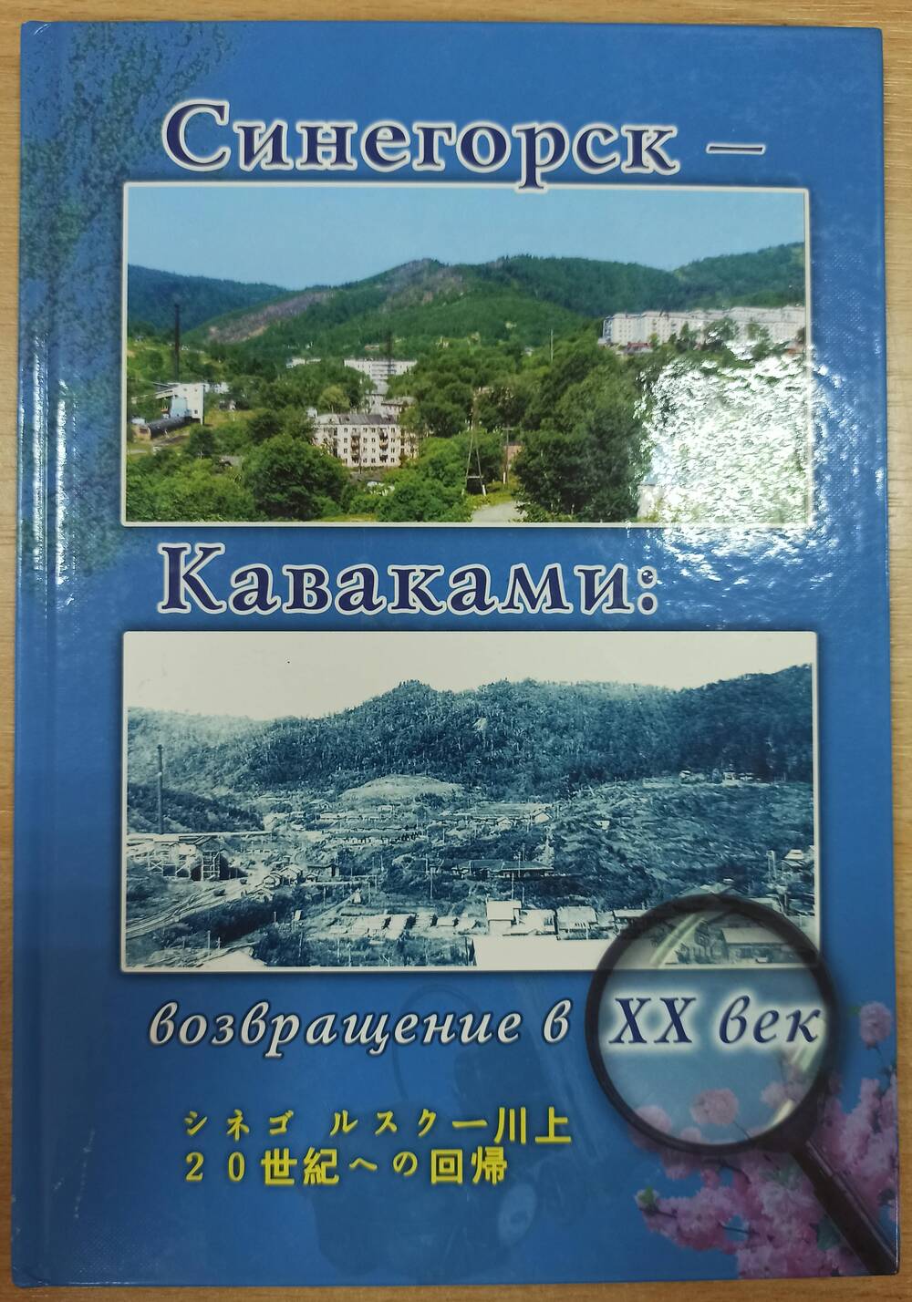 Книга Синегорск - Каваками  - возращение в ХХ век. Хабаровск.