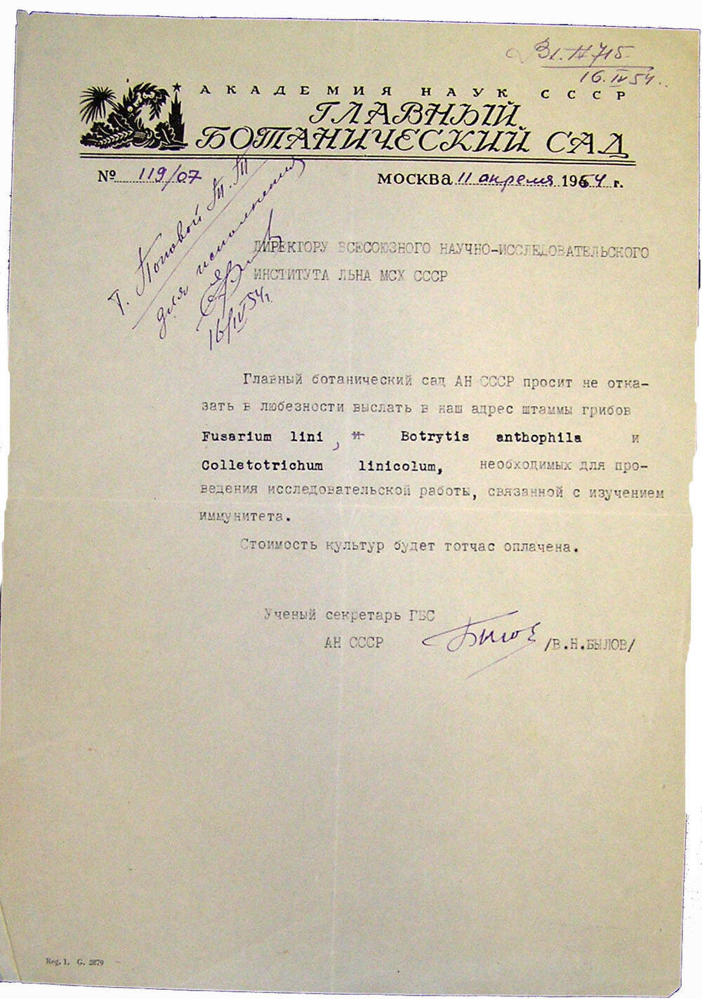 Письмо директору ВНИИЛ из главного ботанического сада Академии Наук СССР  с просьбой выслать штаммы грибов