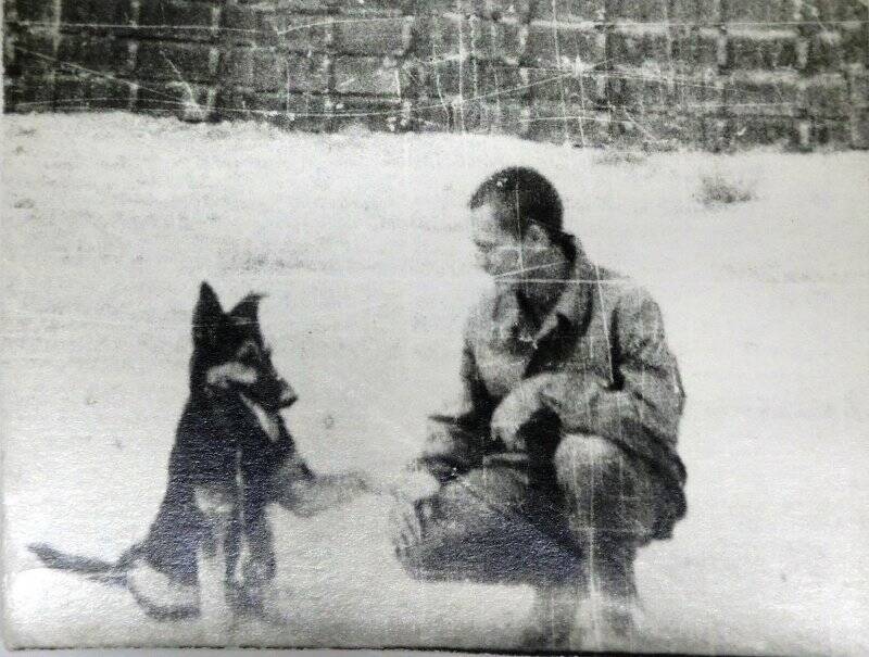 Фотография. Изображен военнослужащий с собакой-овчаркой.