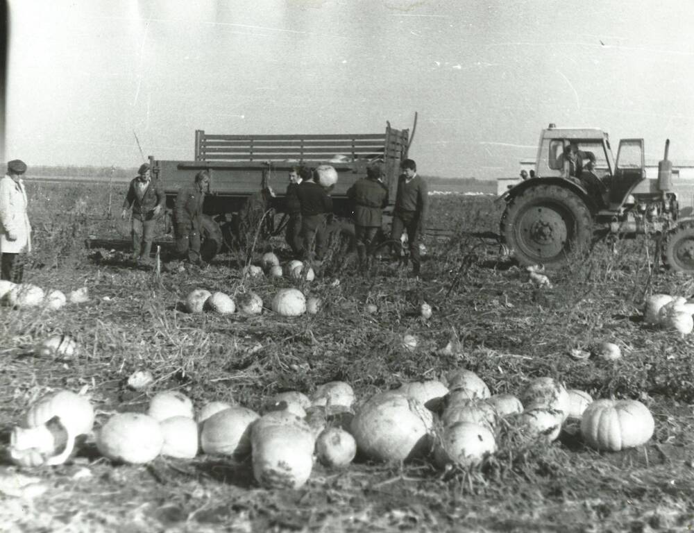 Фото погрудное. Звено Хаустова А.И. на уборке урожая, 1980 г.