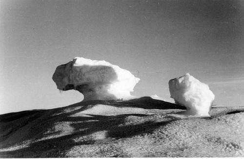 Фотография. Ледяные «грибы» на вершине айсберга. Из комплекта «Первая комплексная антарктическая экспедиция (КАЭ) АН СССР».