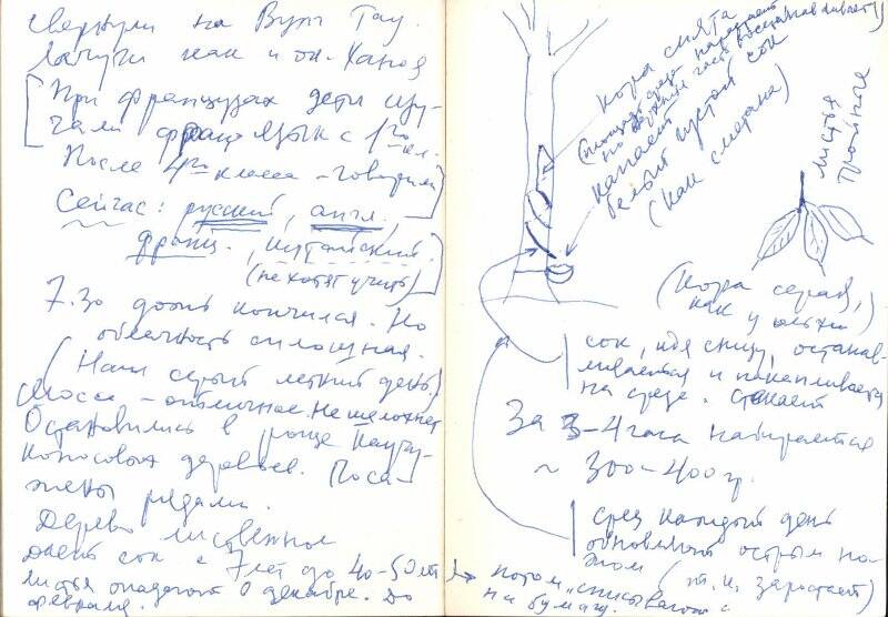 Блокнот № 2 с дневниковыми записями старшего группы советских военных специалистов генерал-лейтенанта Воробьева Марка Ивановича во время пребывания в СРВ в 1977-1978 гг.