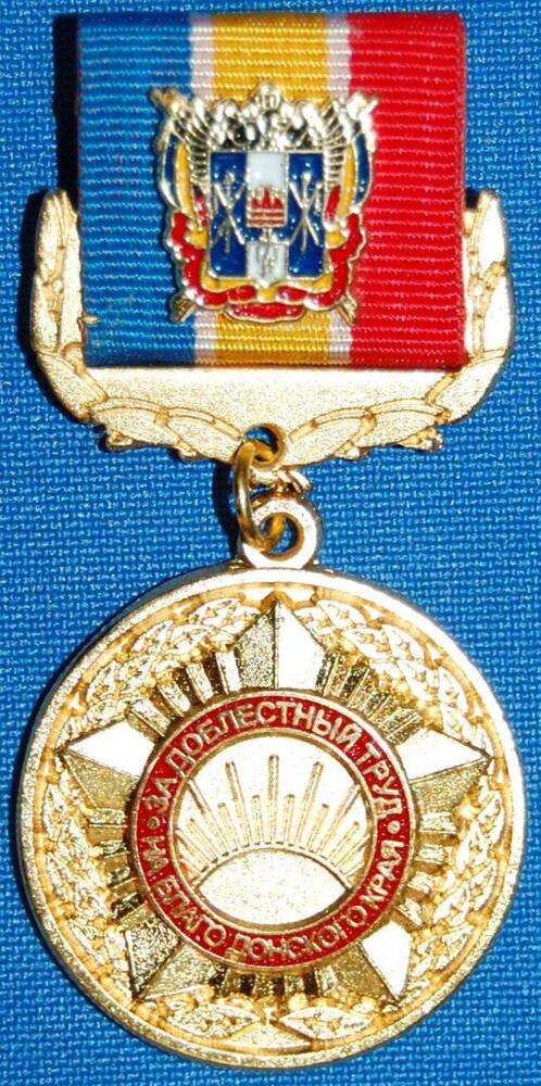Медаль За доблестный труд на благо Донского края