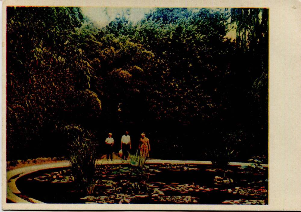 Набор открыток Никитский ботанический сад