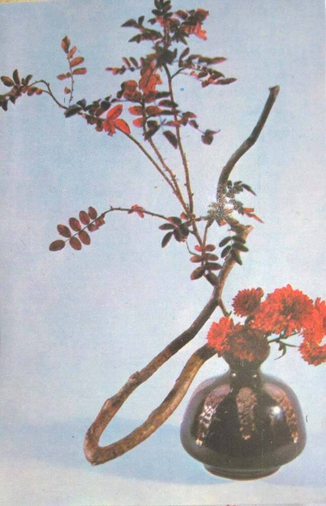 Фотооткрытка «Композиция из хризантем, ветки шиповника и коряги»