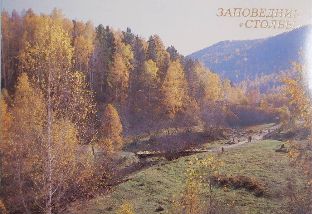 Цветная открытка Долина речки Лалетина из комплекта открыток Заповедник Столбы.