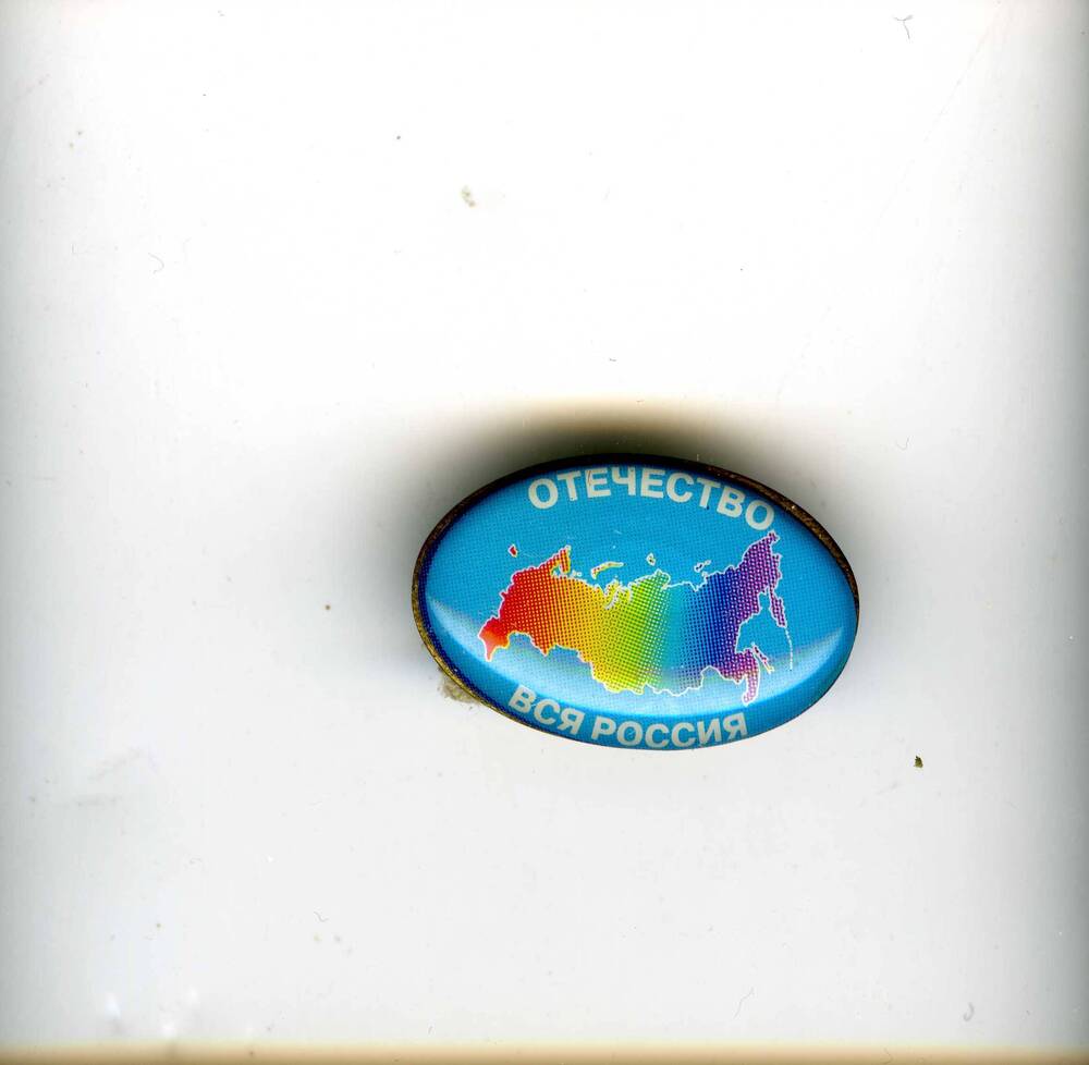 Значок нагрудный овальной формы на вкручивающейся ножке. На голубом фоне разноцветный географический символ Российской Федерации.