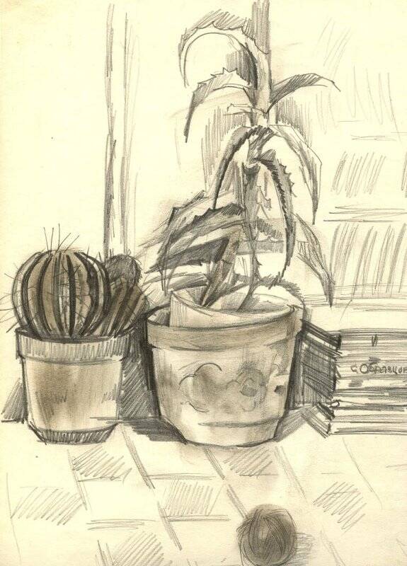 Рисунок. «Уголок с кактусами»