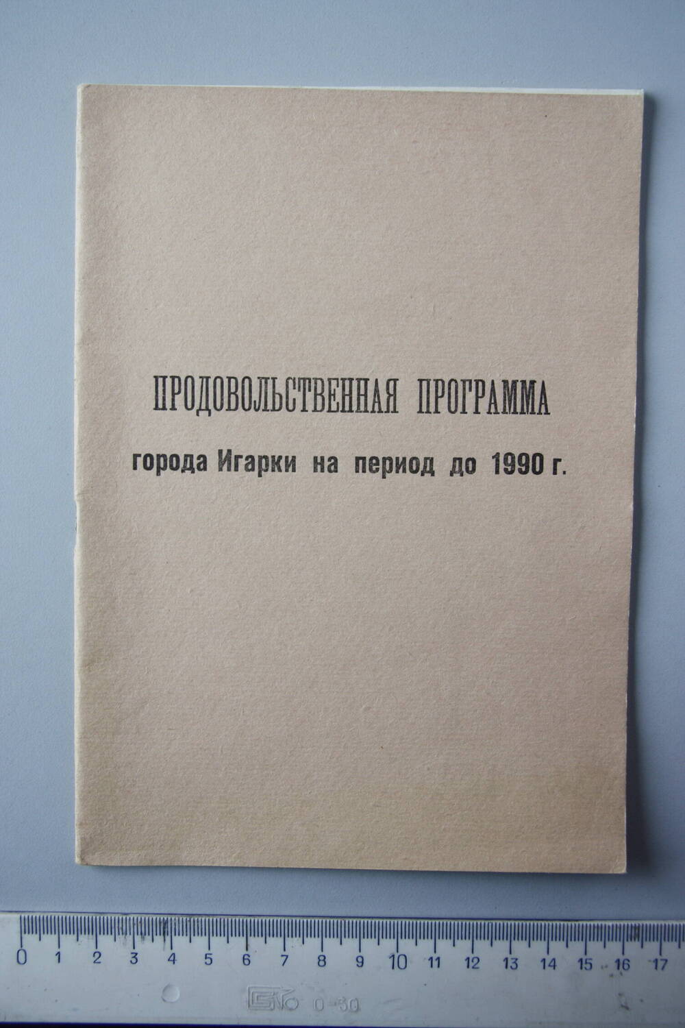 Брошюра Продовольственная программа города Игарки на период до 1990 г.