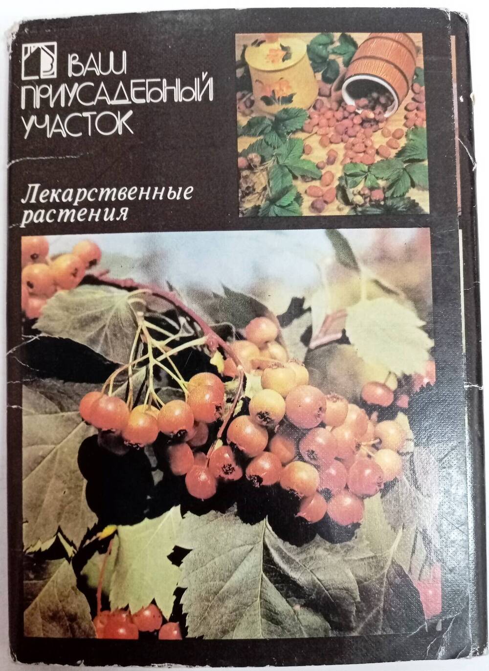Комплект открыток «Лекарственные растения»