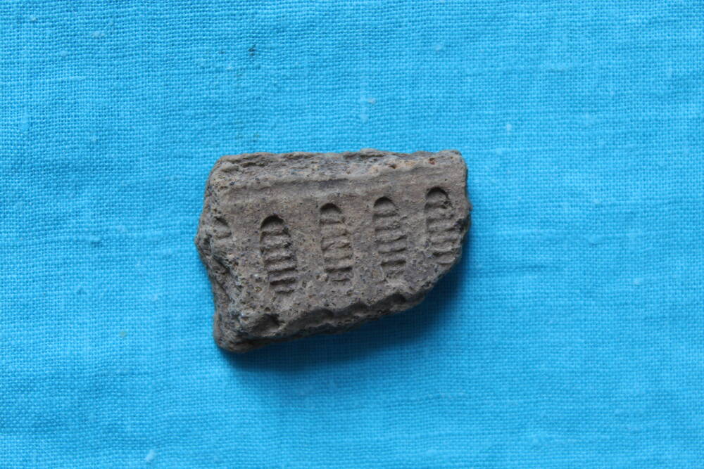 Фрагмент керамического сосуда с раскопа городища в деревне Вершина в районе станции Пелым - Атымья 1992 г.