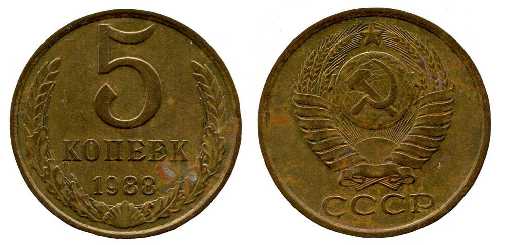 Монета. 5 копеек. Союз Советских Социалистических Республик, 1988 г.