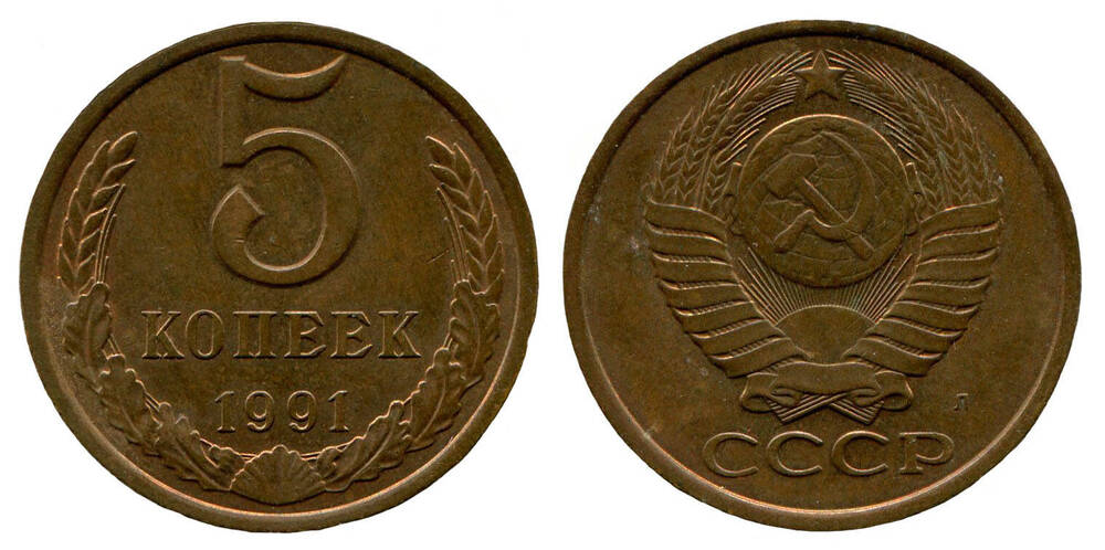 Монета. 5 копеек. Союз Советских Социалистических Республик, 1991 г.