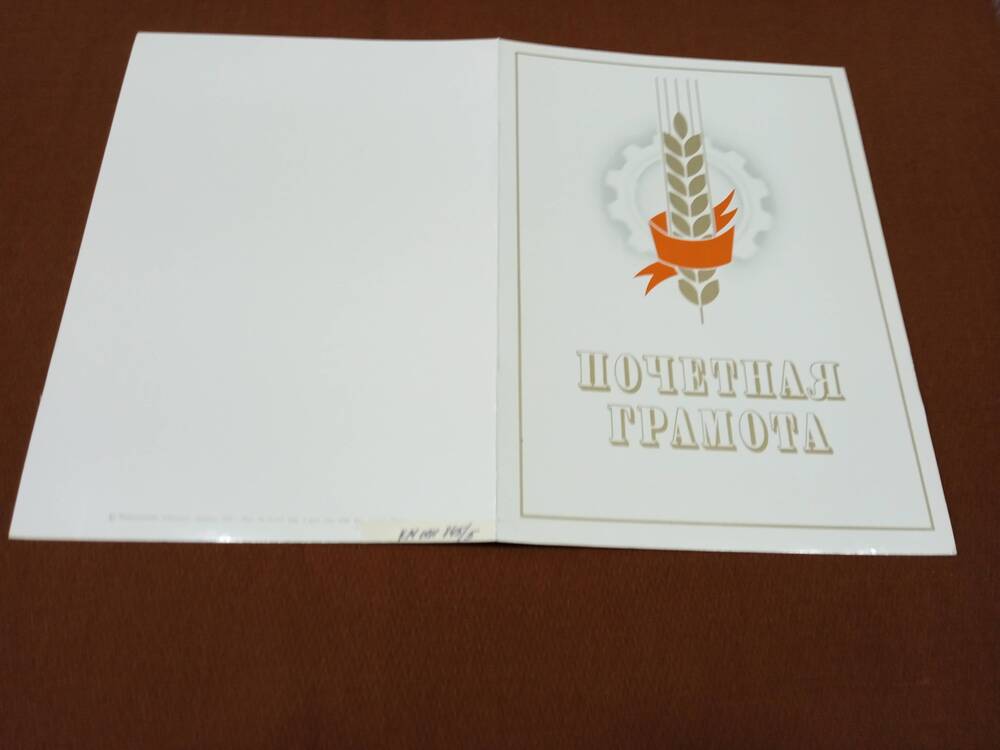Почетная грамота Сологубова М.Ф., за достижение высоких показателей в труде и успешное выполнение социалистических обязательств в четвертом году десятой пятилетки.