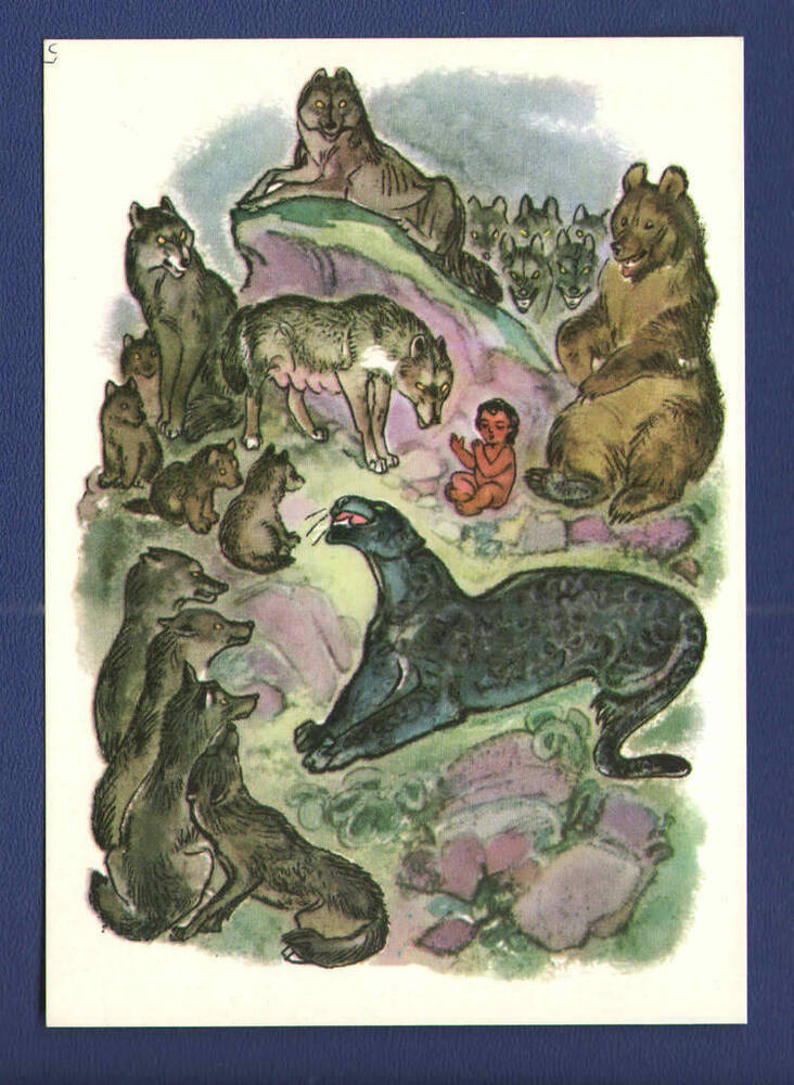 Открытка Отец Волк выждал, пока его щенки… из набора открыток Маугли