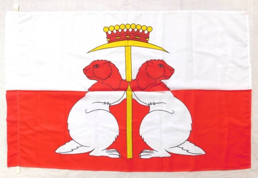 Флаг Донского муниципального образования Тульской области.