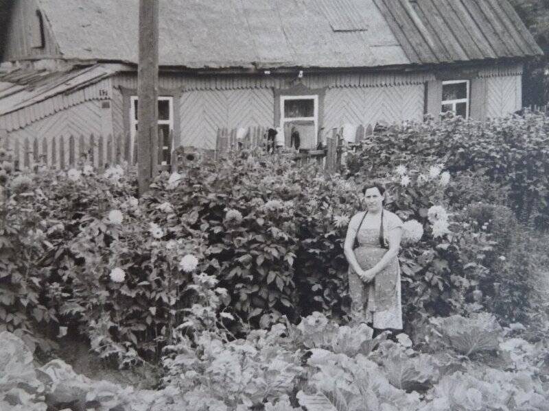 Фотография. Цветовод Царегородцева Елизавета Емельяновна, участница многих выставок цветов. Лето, 1964г.