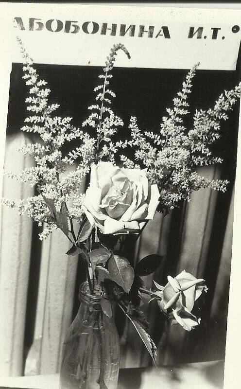 Фотография. 13-я Городская выставка цветов. 1976г.