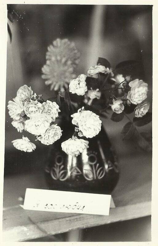 Фотография. 13-я Городская выставка цветов. 1976г.