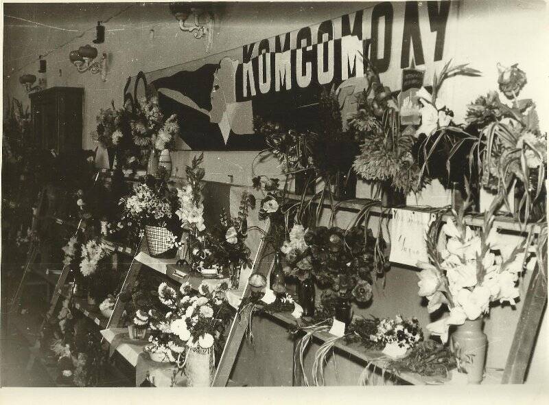 Фотография 6-я городская выставка цветов. Дом культуры. Сентябрь 1969г.