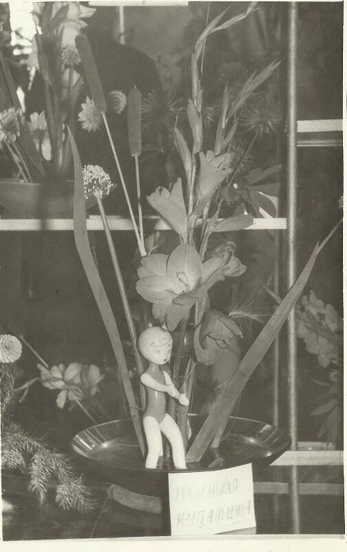 Фотография 6-я городская выставка цветов. Дом культуры. Сентябрь 1969г.