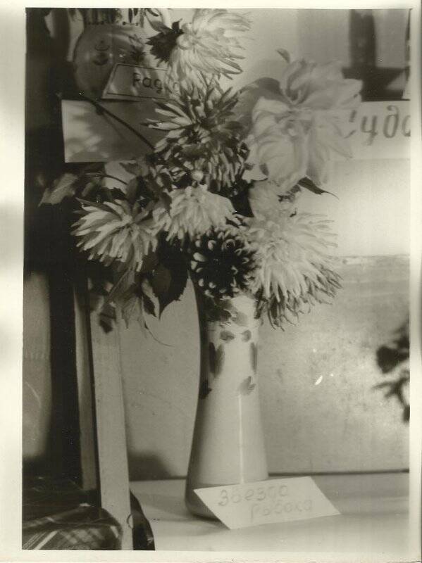 Фотография. 7-я городская выставка цветов. Сентябрь 1970г.