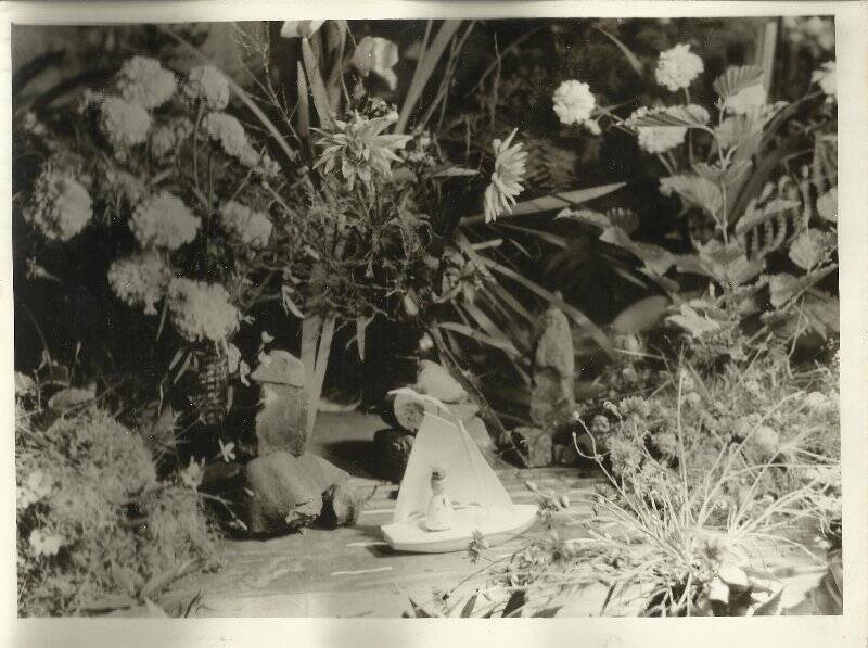 Фотография. 7-я городская выставка цветов. Сентябрь 1970г.