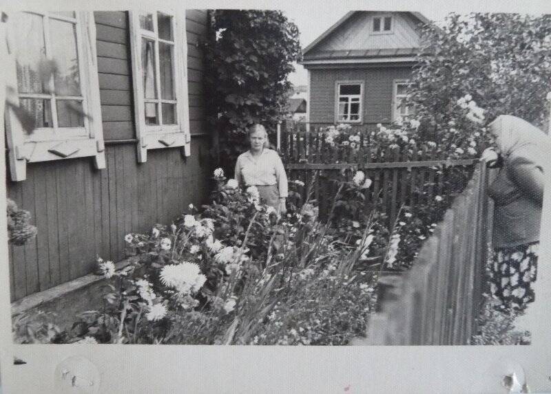 Фотография. Цветовод Тихонова Тамара Николаевна на своем участке, разговаривает с женщинами, стоящими у забора (на голове платок). Лето, 1964г.