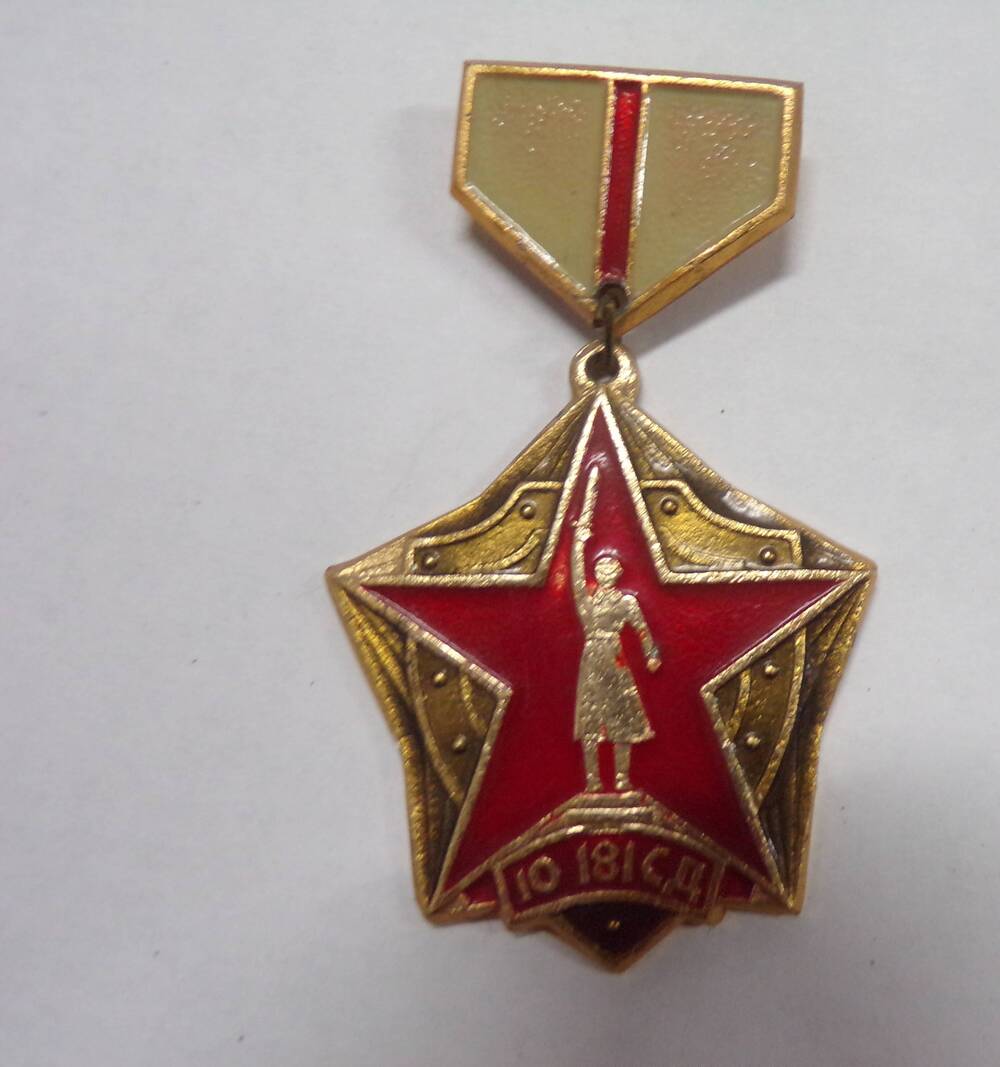 Знак «Ветеран  10 – 181 –й  дивизии». Федюкина И.Е.