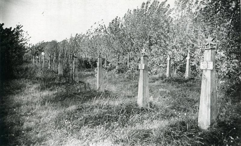 Северное военное кладбище, фотография