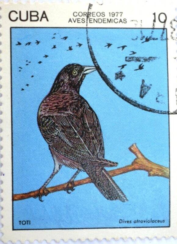Почтовая марка (Куба) «Aves Endemicas» (Эндемика авиафауны)