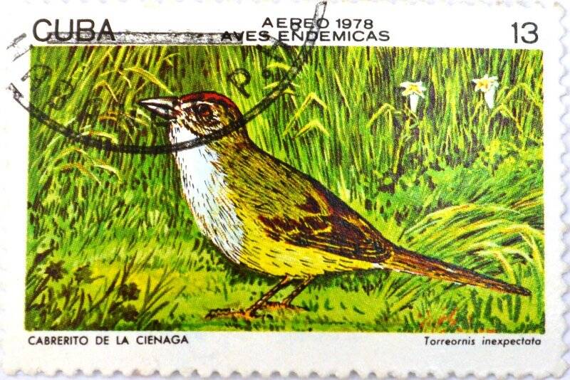 Почтовая марка (Куба) «Aves Endemicas» (Эндемики авиафауны)