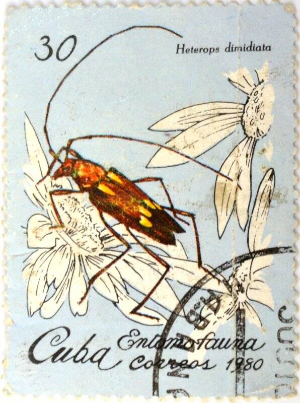 Почтовая марка (Куба) «Entomo - fanna Heterops dimidiata»