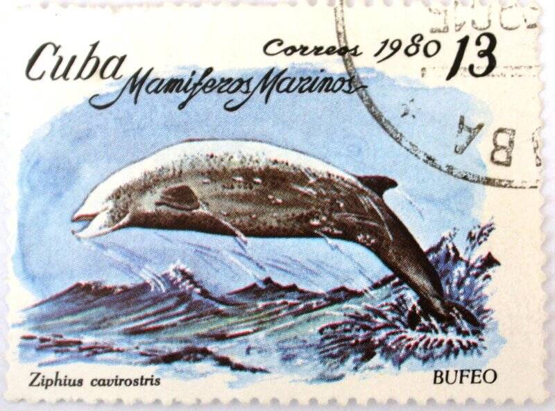 Почтовая марка (Куба) «Млекопитающие морей» (Mamifores Marinos)