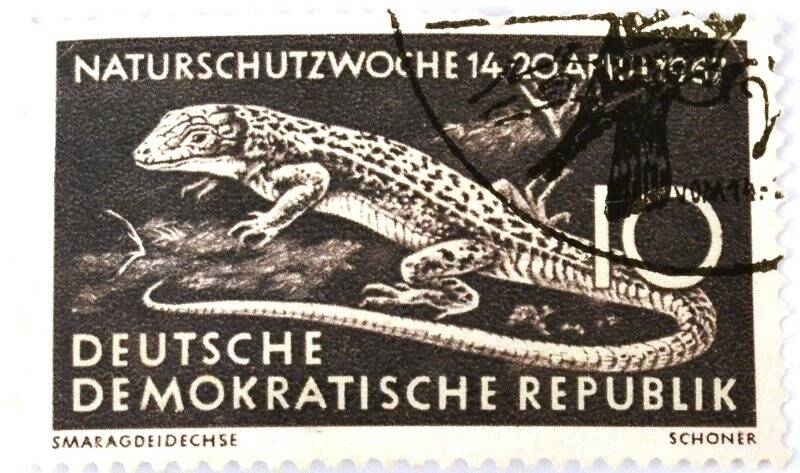 Почтовая марка (ГДР) «Naturschntzwoche 14-20 Apr. 1967» (Неделя защиты природы 14-20 апреля 1967)