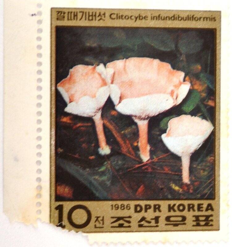 Почтовая марка (Корея) «Грибы»