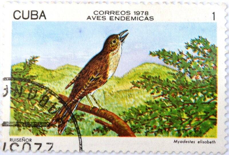 Почтовая марка (Куба) «Aves Endemicas» (Эндемики авиафауны)
