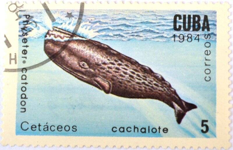 Почтовая марка (Куба) «Cetaceos»