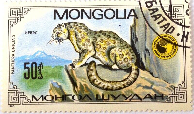 Почтовая марка (Монголия) «Panthera unicia S.» (Ирбис)