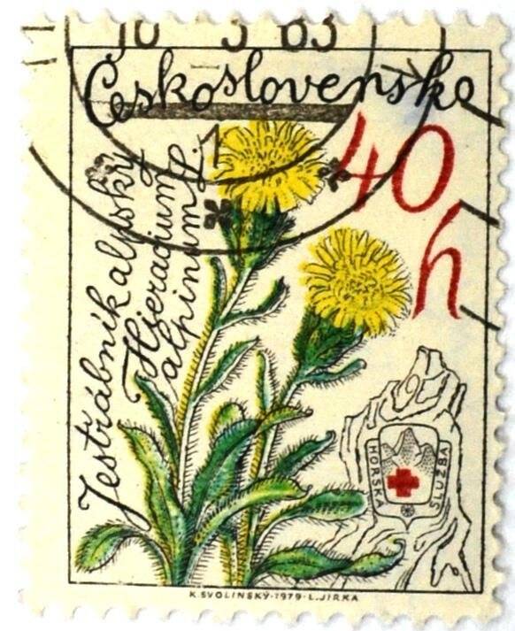Почтовая марка (Чехословакия) «Hieracium alpinum»