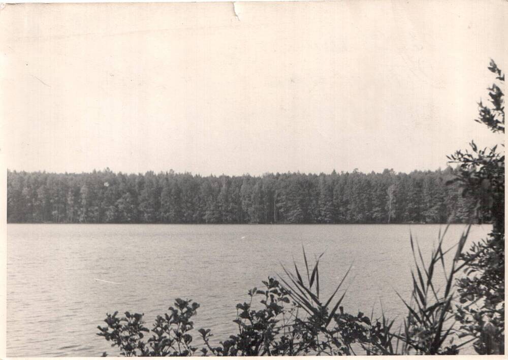 Фото. Озеро Святое, район основной базы Дятьковской партизанской бригады 1942-1943 гг., август 1962 г.
